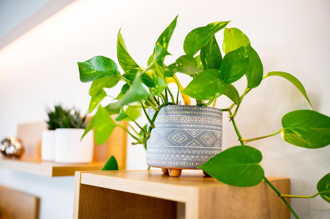 Lilium Apartment Κως Πόλη Εξωτερικό φωτογραφία